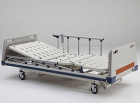 Electric Bed Companies